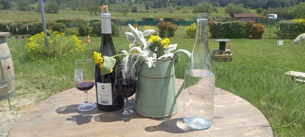 Vins du Minervois en degustation au domaine villepeyroux-forest