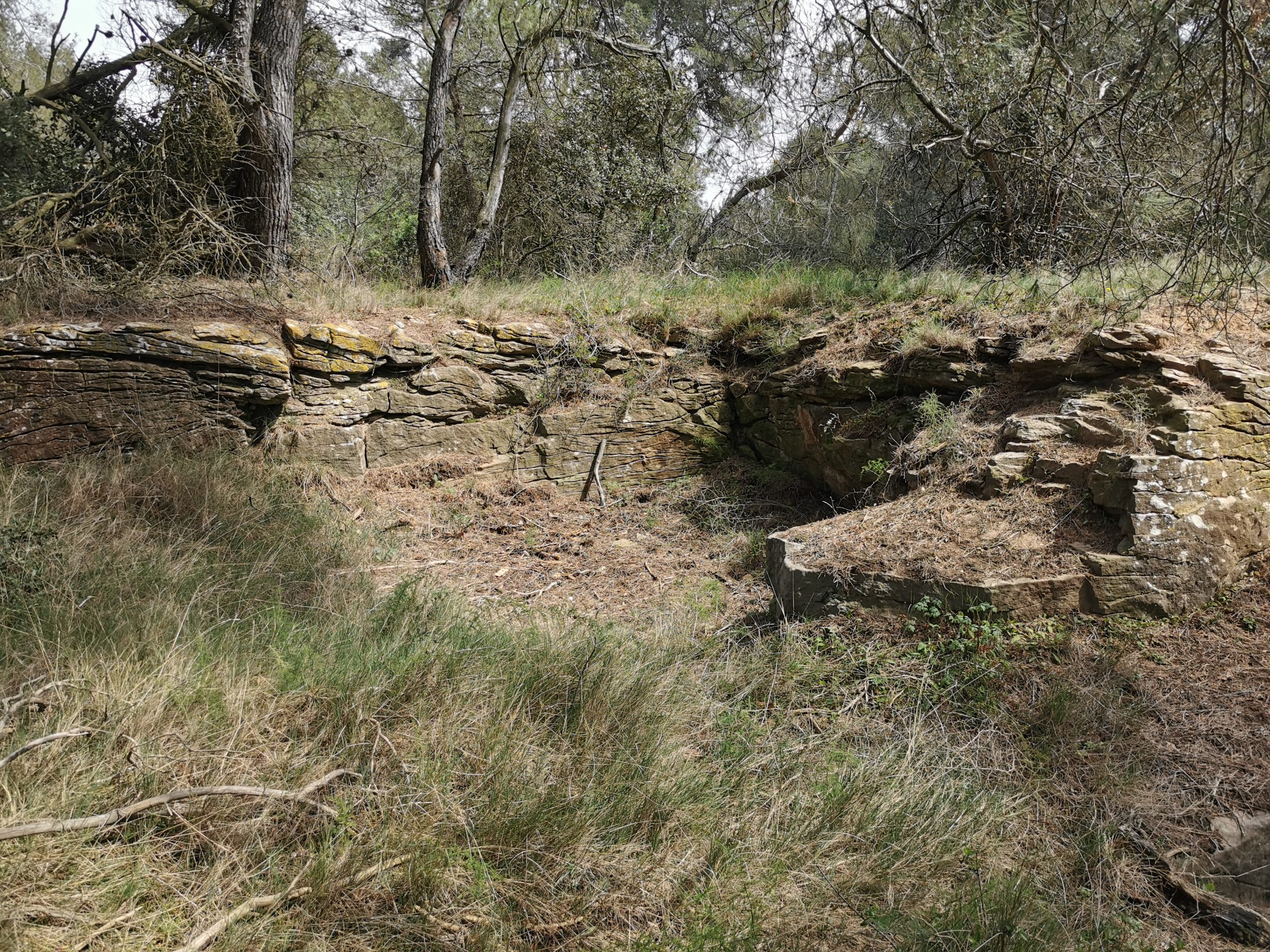 nature Villepeyroux-Forest AOP Minervois